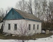 Продается дом в большом селе